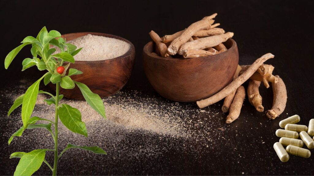 The Best Medicine in Ayurveda: Ashwagandha for Fertility, Thyroid, and Blood Pressure Issues