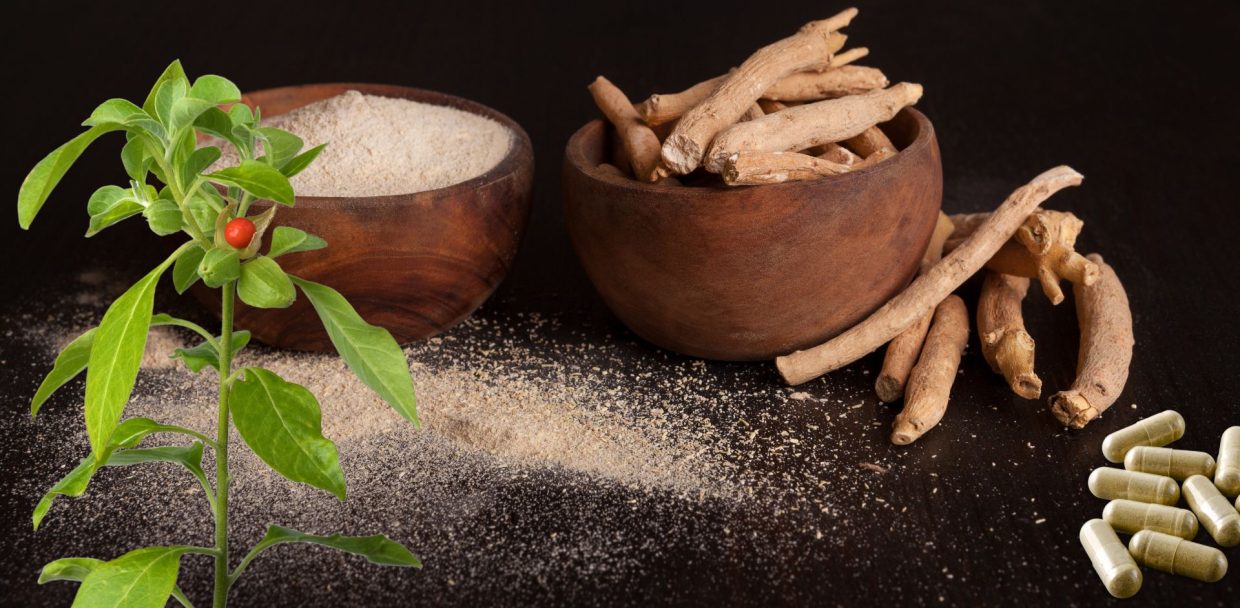 The Best Medicine in Ayurveda: Ashwagandha for Fertility, Thyroid, and Blood Pressure Issues