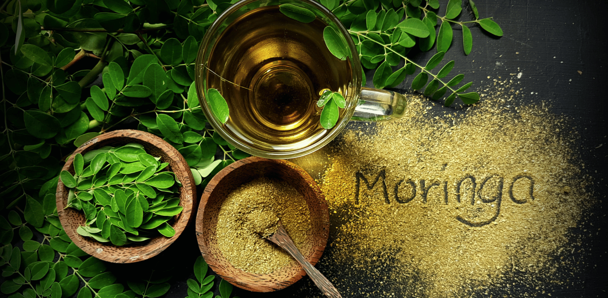 Health benefits of Moringa powder and tea made with Drumstick leaves